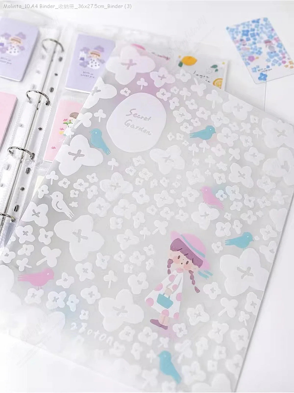 [Pre-Order]_Molinta_10.A4 Binder_收納冊_36x27.5cm_Binder