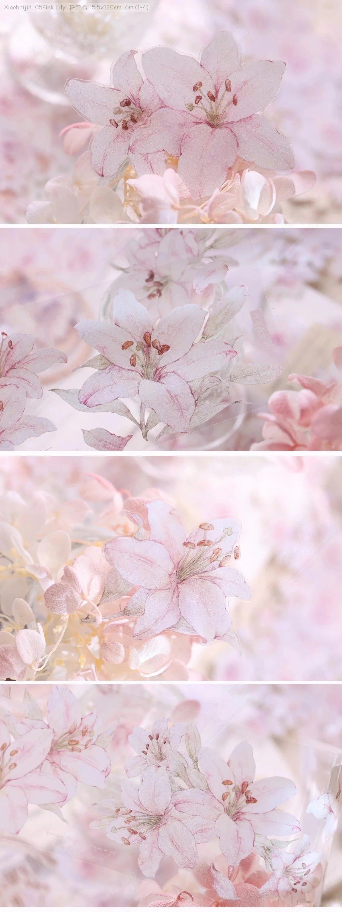 [Pre-Order]_Xiaobaijia_05Pink Lily_粉百合_5.5x120cm_6m