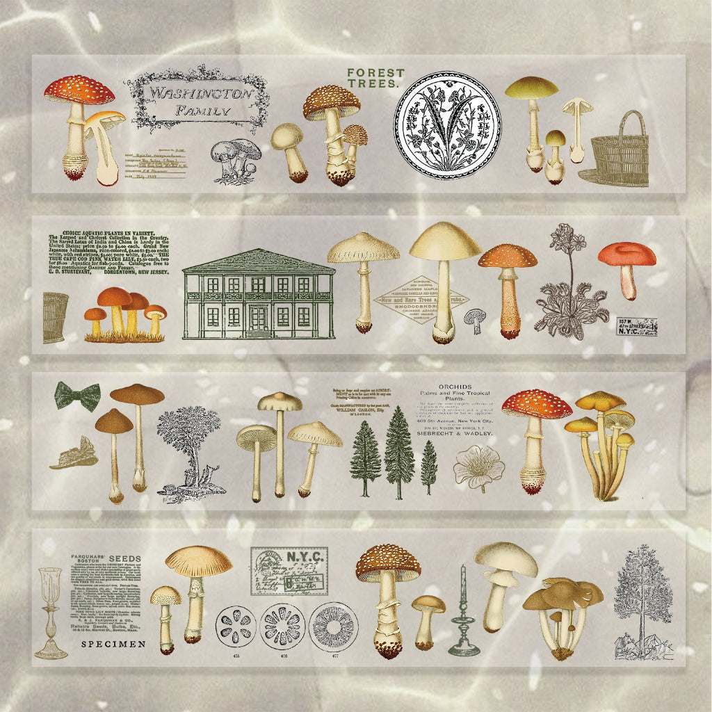 MOSSWOOD_Mountain Mushroom 6cm x 10m, 108cm Matte PET