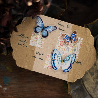 Loi Design_Vintage Butterfly Matte PET